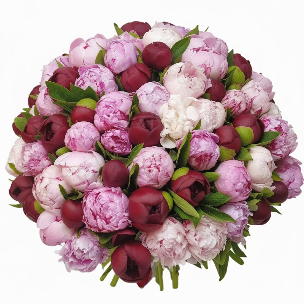 Bouquet of Pink and Red Peonies - Florist London