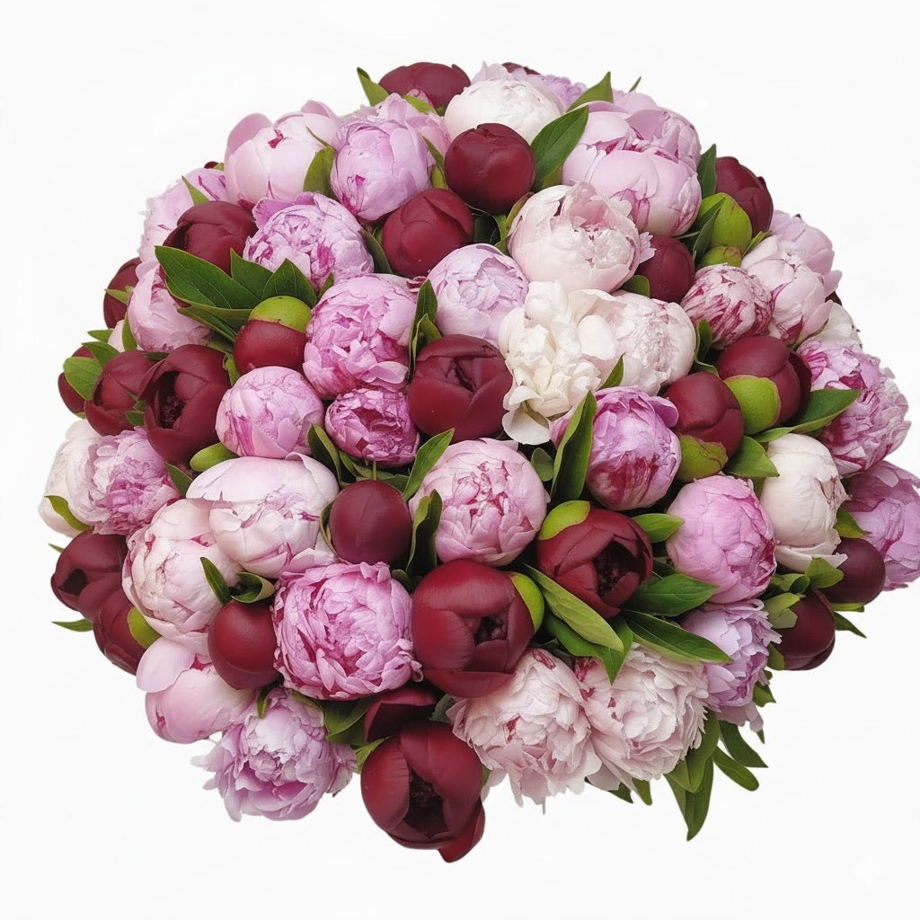 Bouquet of Pink and Red Peonies - Florist London