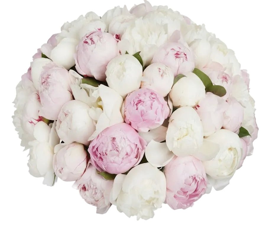 Bouquet of Pink and White Peonies - Florist London