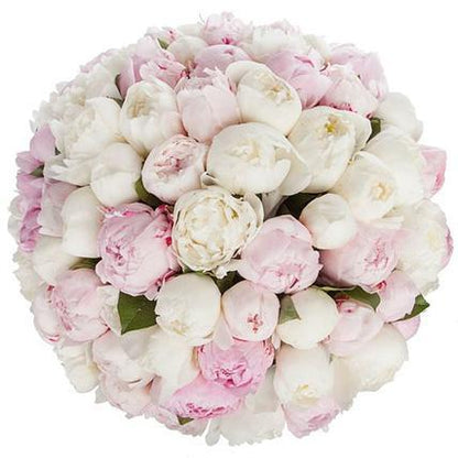 Bouquet of Pink and White Peonies - Florist London
