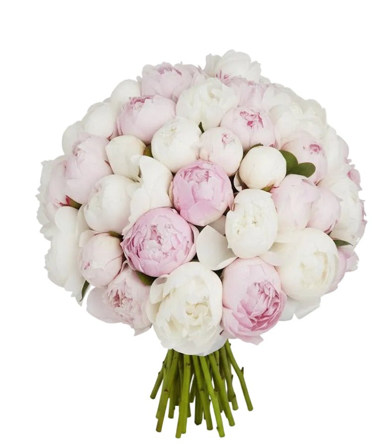 Bouquet of Pink and White Peonies - Florist London