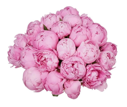 Bouquet of Pink Peonies - Florist London