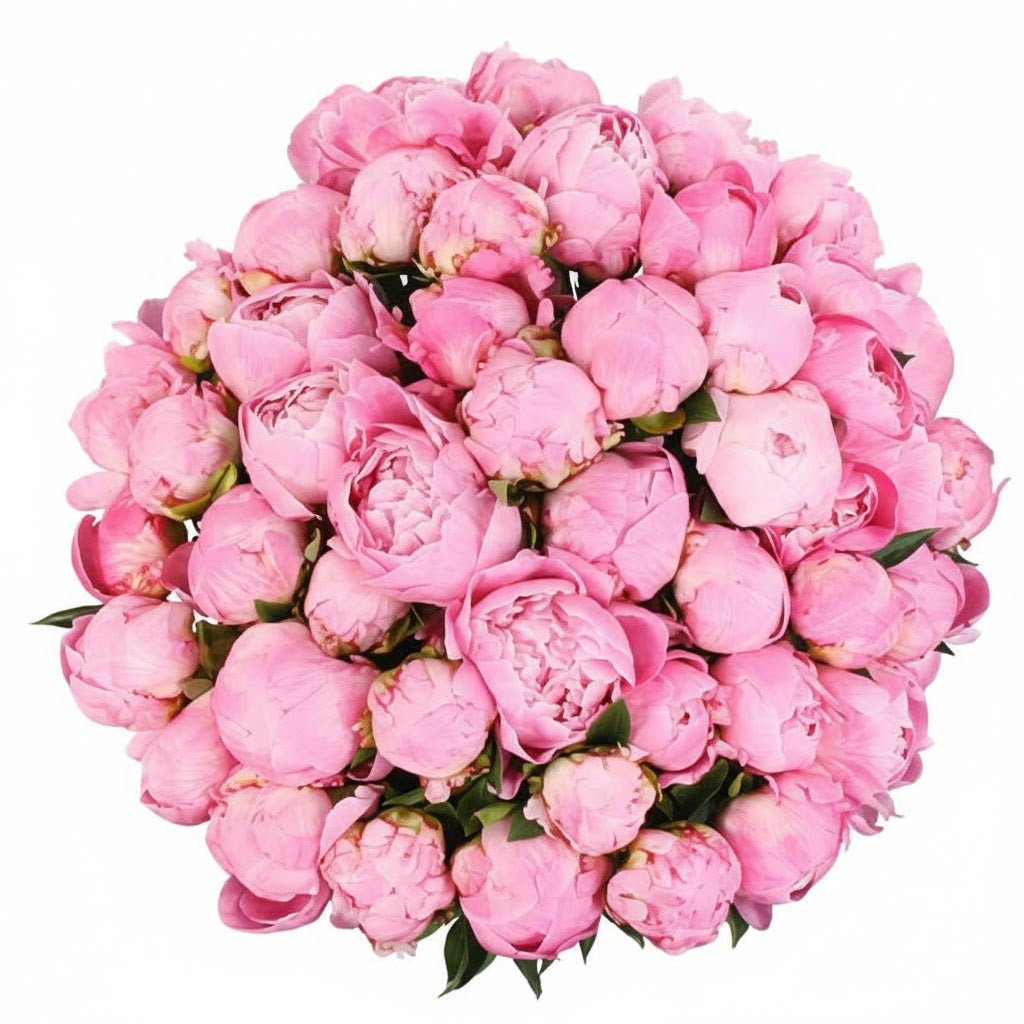 Bouquet of Pink Peonies - Florist London