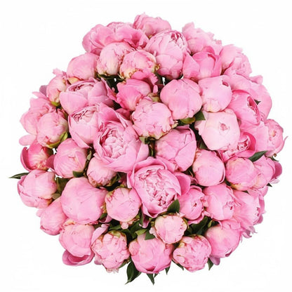 Bouquet of Pink Peonies - Florist London