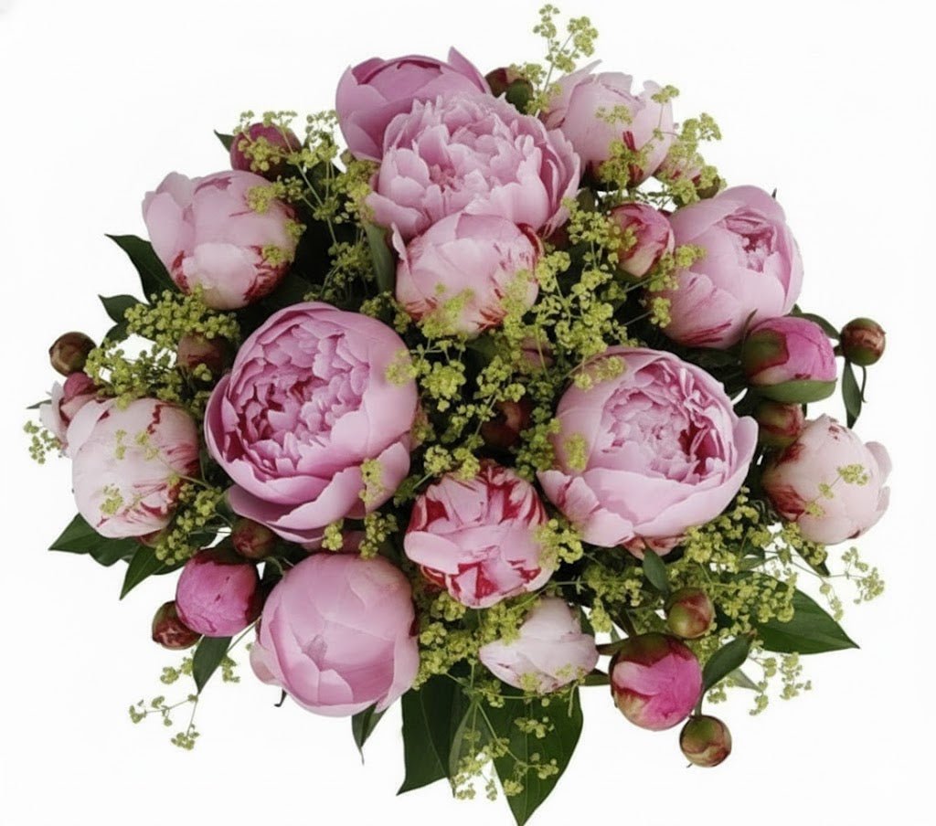 Bouquet of Pink Peonies with Alchemilla - Florist London