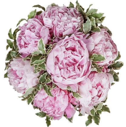 Bouquet of Pink Peonies with Greenery - Florist London