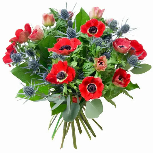 Bouquet of Red Anemone with Eryngium