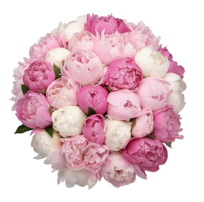 Bouquet of Three Shades Peonies - Florist London