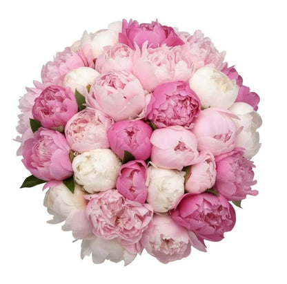 Bouquet of Three Shades Peonies - Florist London