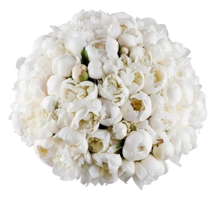 Bouquet of White Peonies - Florist London