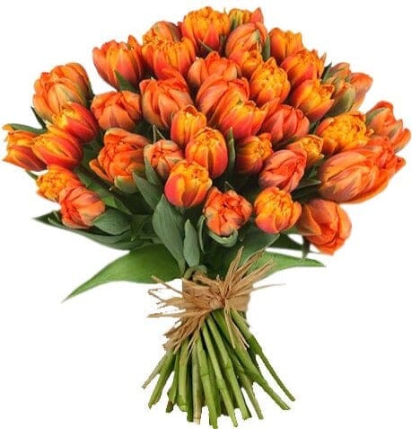 Bouquet Orange Double Tulips - Florist London