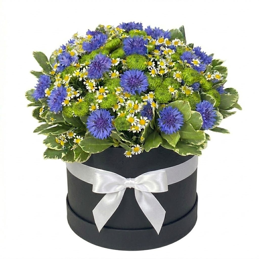 Box of Cornflowers with Santini Chrysanthemum and Daisy - Florist London