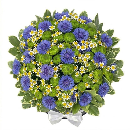 Box of Cornflowers with Santini Chrysanthemum and Daisy - Florist London