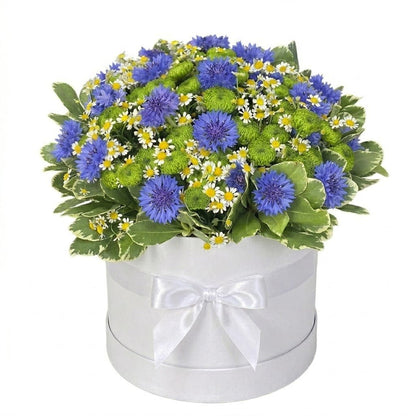 Box of Cornflowers with Santini Chrysanthemum and Daisy - Florist London