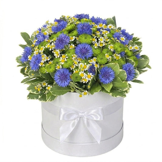 Box of Cornflowers with Santini Chrysanthemum and Daisy - Florist London
