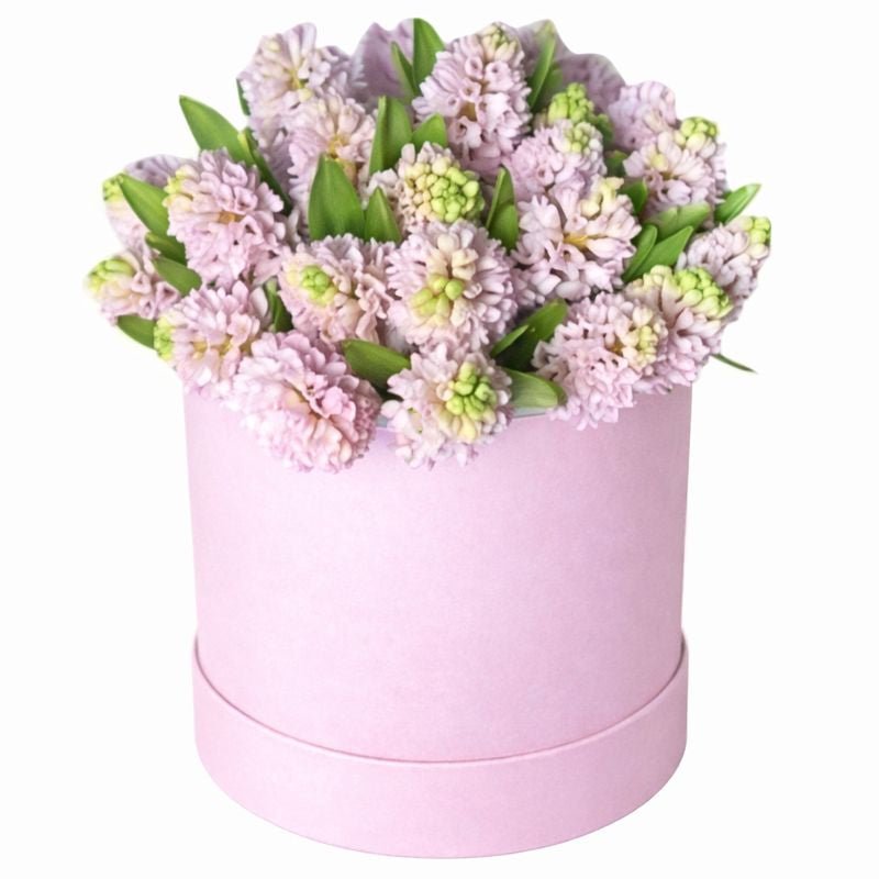 Box of Hyacinths - Florist London
