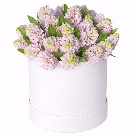 Box of Hyacinths - Florist London