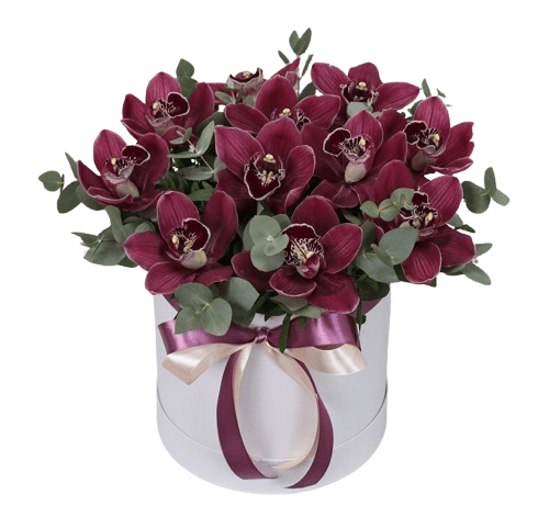 Box of Luxury Cymbidium Orchids with Eucalyptus - Florist London