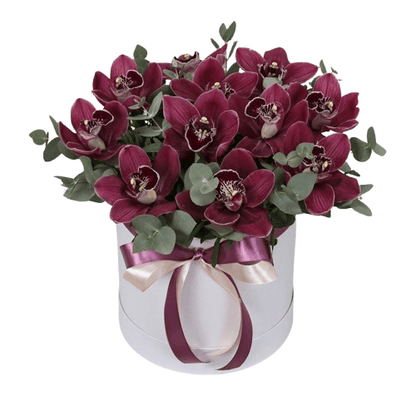 Box of Luxury Cymbidium Orchids with Eucalyptus - Florist London