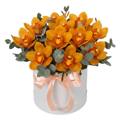 Box of Luxury Cymbidium Orchids with Eucalyptus - Florist London