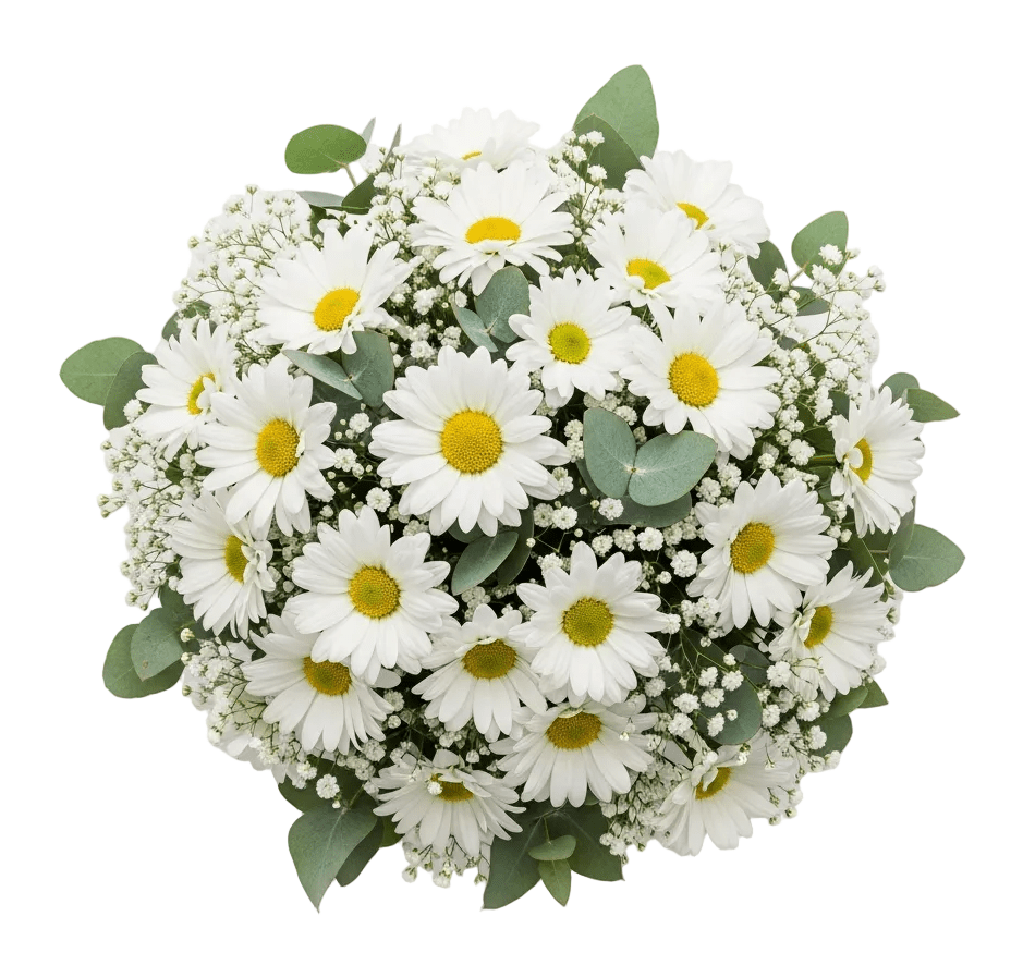 Bridal Bouquet of Daisy and Gypsophila - Florist London