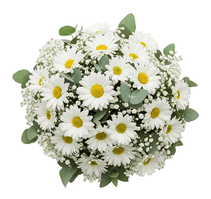 Bridal Bouquet of Daisy and Gypsophila - Florist London