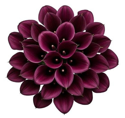 Burgundy Calla Lily Bouquet