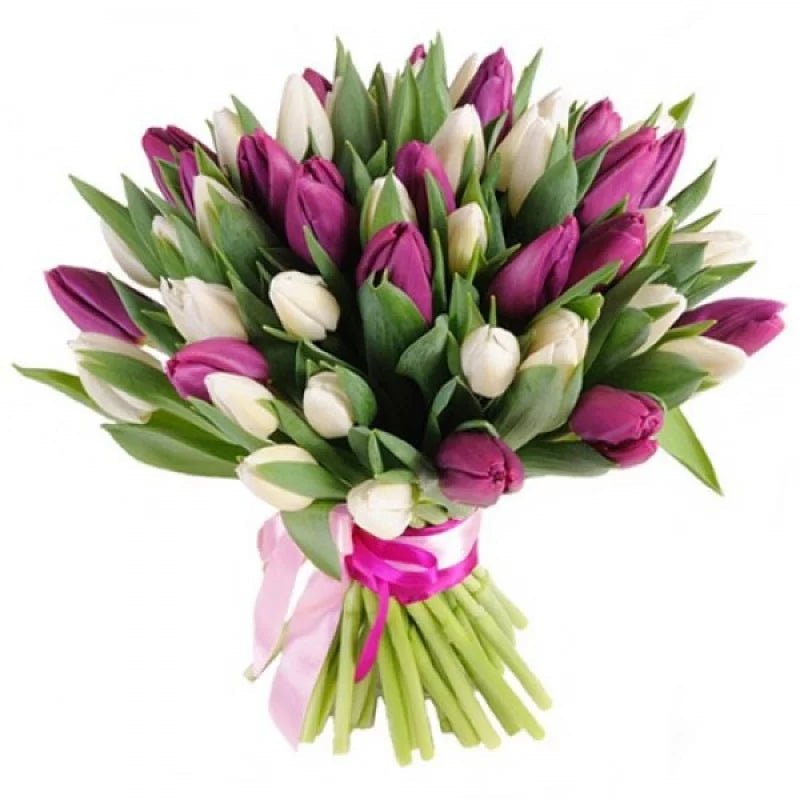 Cerise and White Tulips Bouquet - Florist London