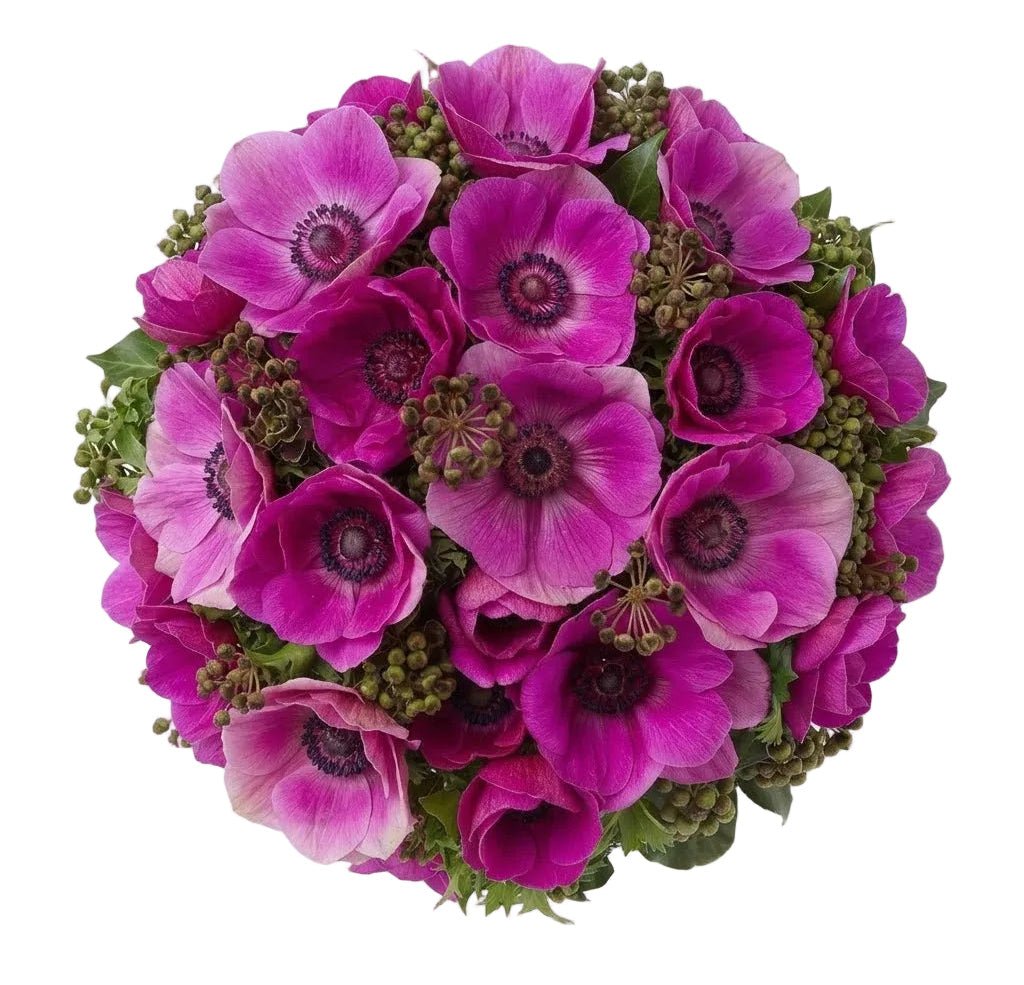 Cerise Anemones with English Berry Bouquet - Florist London