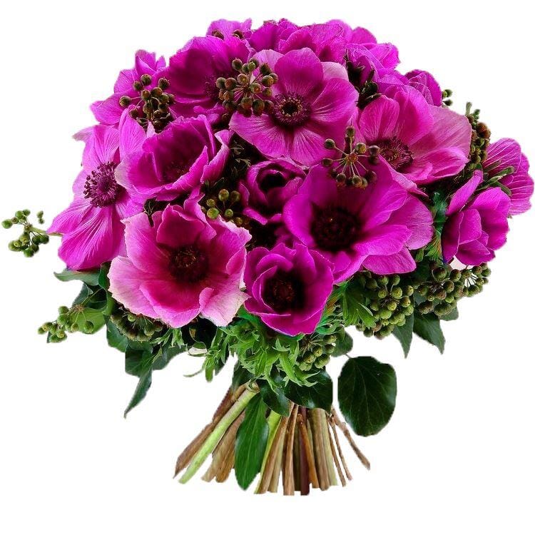 Cerise Anemones with English Berry Bouquet - Florist London