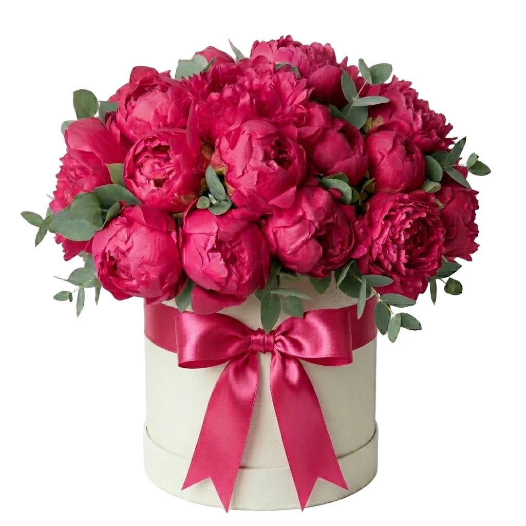 Cerise Peonies Box - Florist London