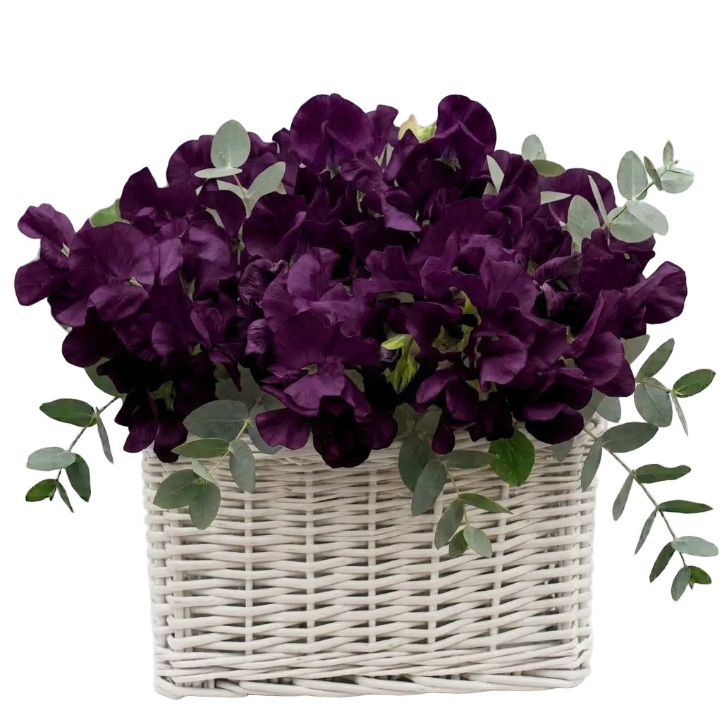 Charming Basket of Sweet Pea with Eucalyptus - Florist London