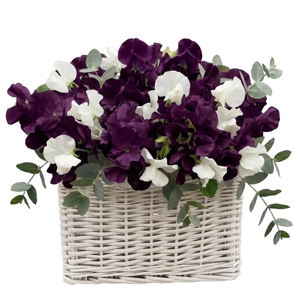 Charming Basket of Sweet Pea with Eucalyptus - Florist London