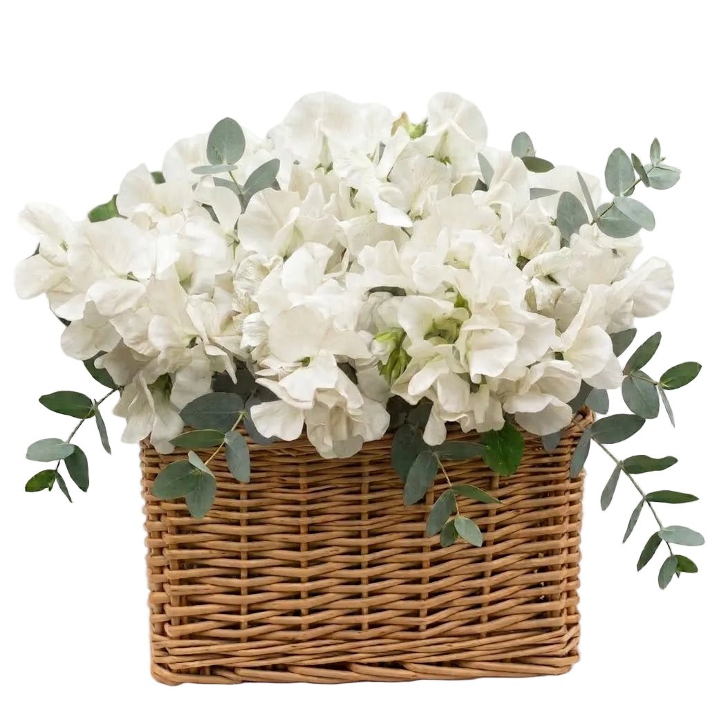 Charming Basket of Sweet Pea with Eucalyptus - Florist London