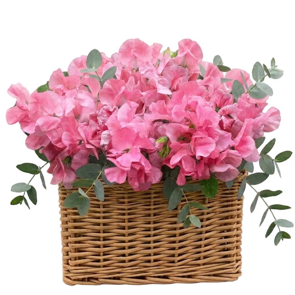 Charming Basket of Sweet Pea with Eucalyptus - Florist London