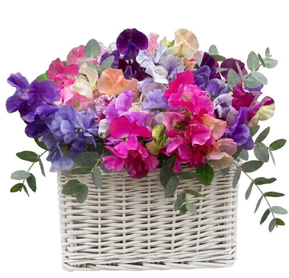 Charming Basket of Sweet Pea with Eucalyptus - Florist London