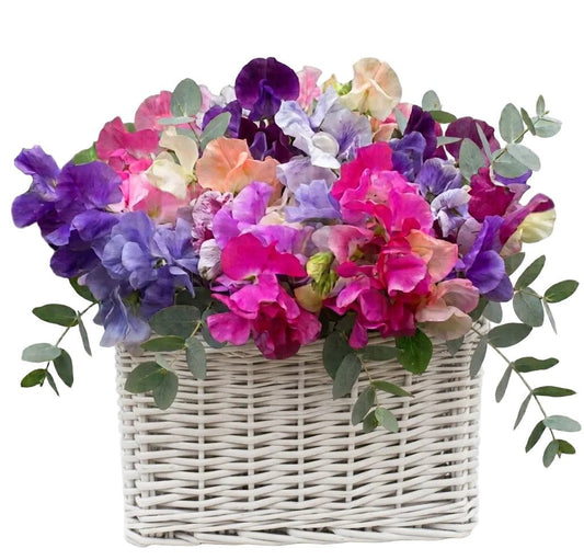 Charming Basket of Sweet Pea with Eucalyptus - Florist London