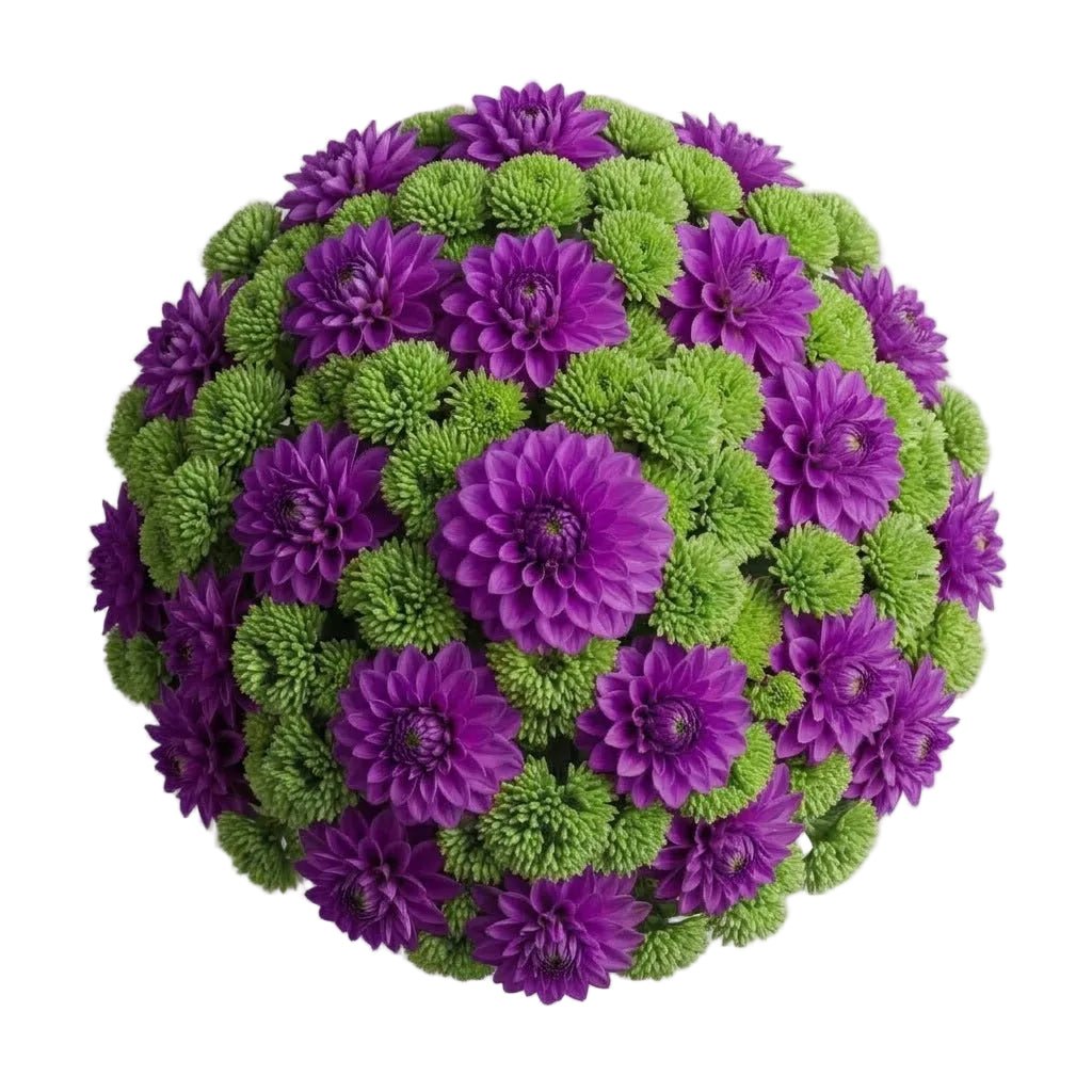 Charming Bouquet of Dahlia and Sedum - Florist London