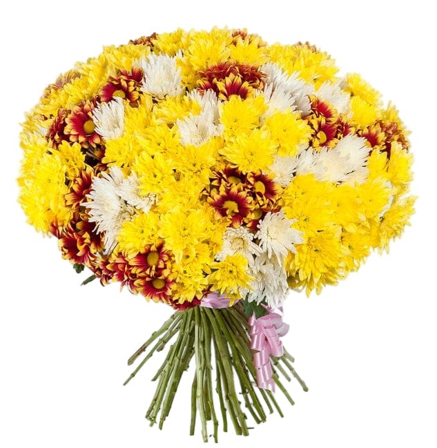 Charming Trio Chrysanthemum Bouquet - Florist London