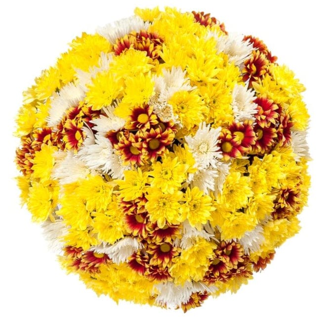 Charming Trio Chrysanthemum Bouquet - Florist London