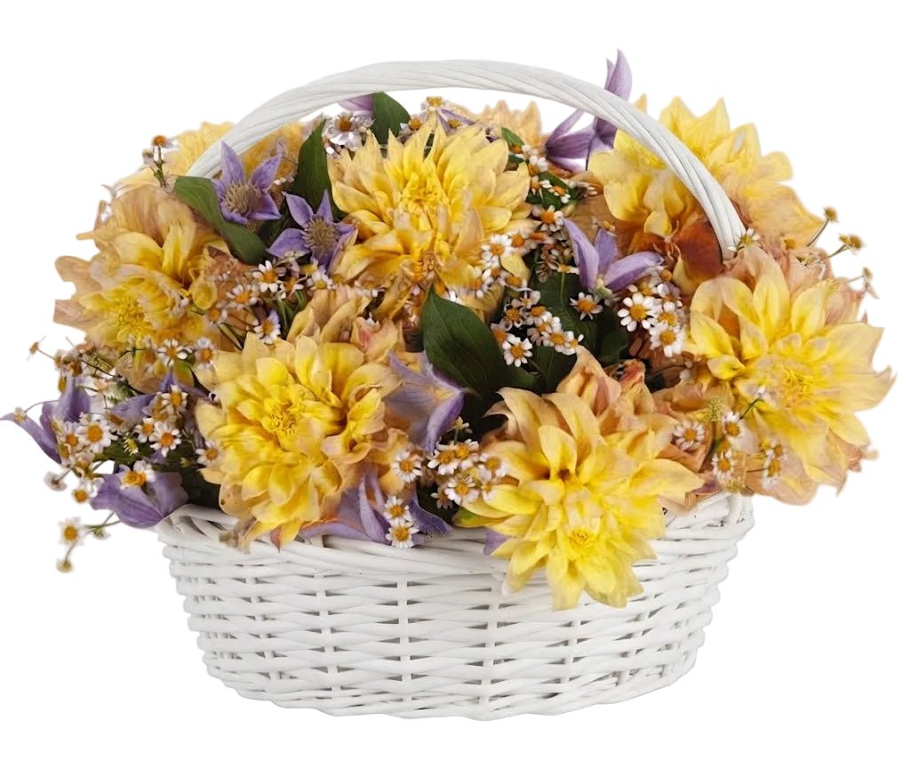 Charming Yellow Dahlia with Clematis Basket - Florist London