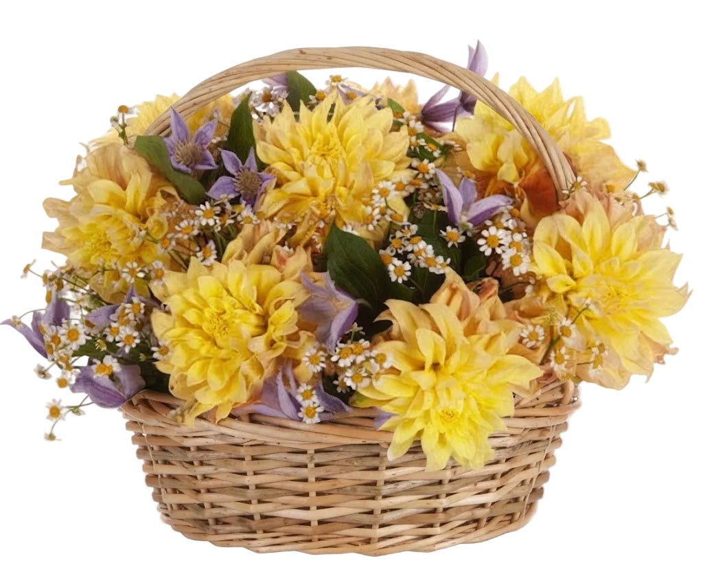 Charming Yellow Dahlia with Clematis Basket - Florist London