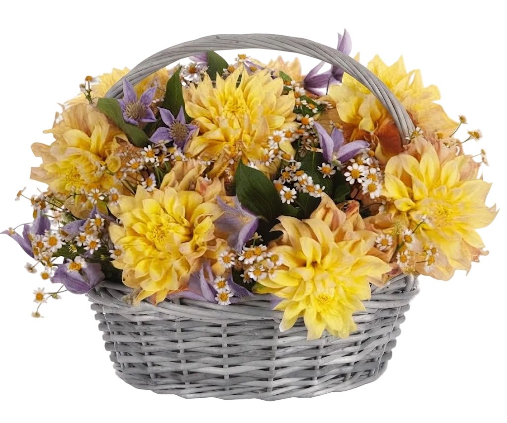 Charming Yellow Dahlia with Clematis Basket - Florist London