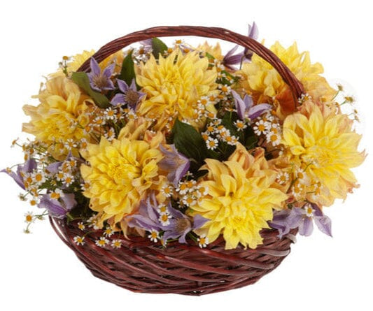 Charming Yellow Dahlia with Clematis Basket