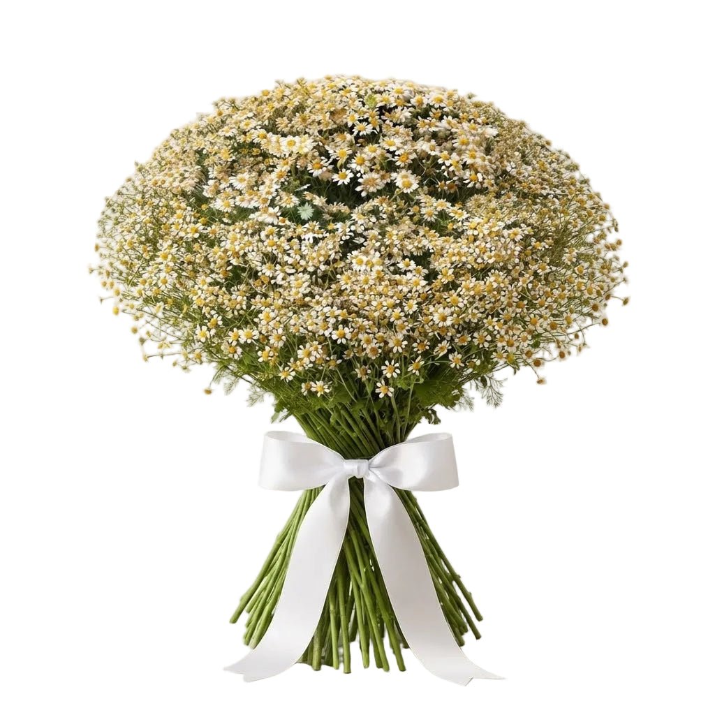 Cheerful Daisy Tanacetum Bouquet - Florist London
