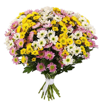 Chrysanthemum Trio Pretty Bouquet - Florist London