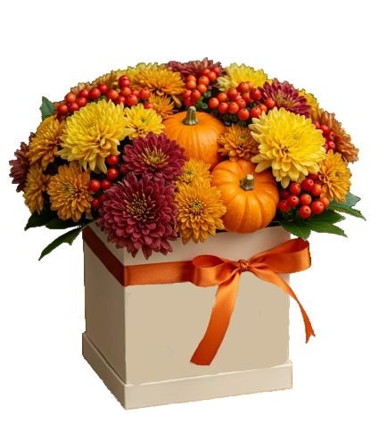 Chrysanthemum with Mini Pumpkin Cute Box - Florist London