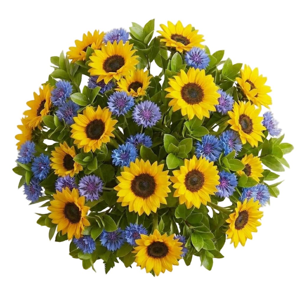 Classic Bouquet of Sunflowers and Cornflowers - Florist London