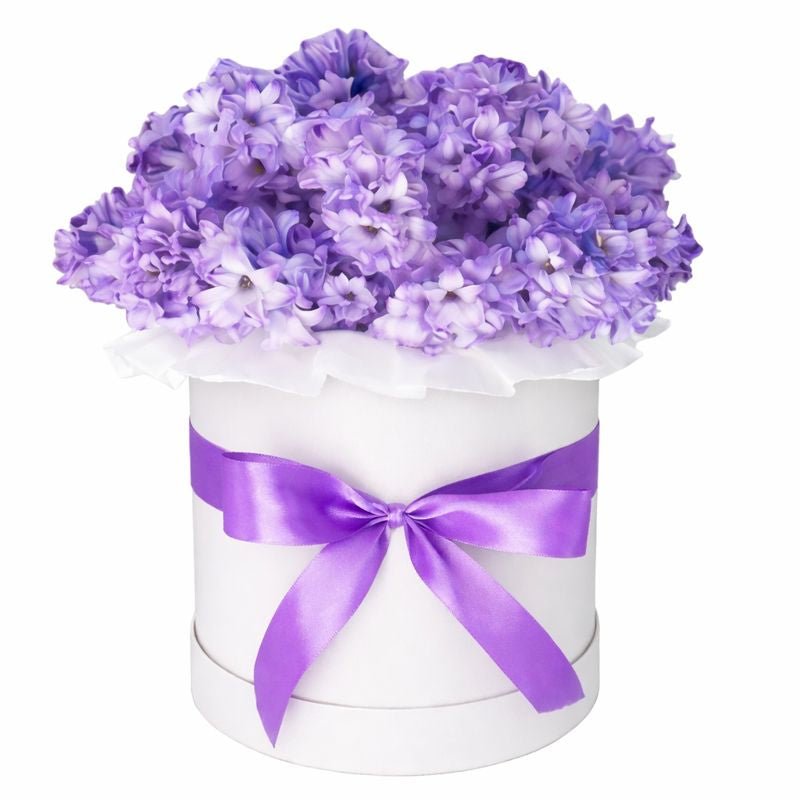 Classic Box of Hyacinths - Florist London