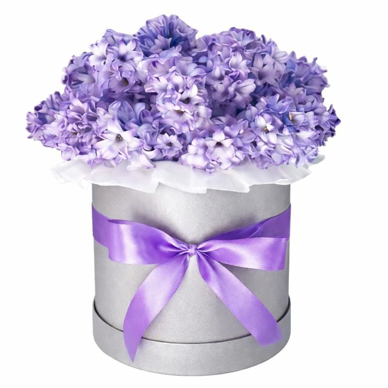 Classic Box of Hyacinths - Florist London